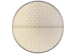 InsectNet-FIN 040070