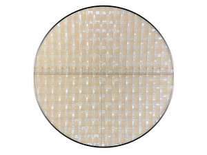 InsectNet-FIN 080080