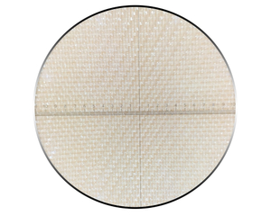 InsectNet-FIN 015015