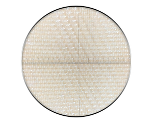 InsectNet-FIN 015035
