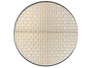 InsectNet-FIN 050050